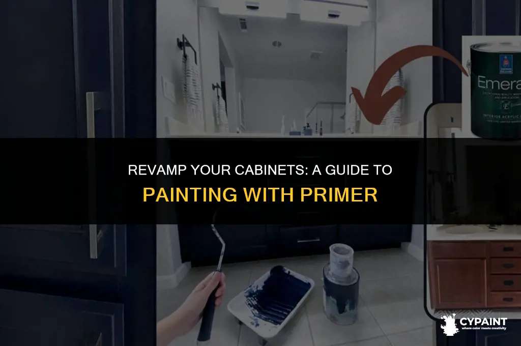 can i paint cabinrts with paint with primer