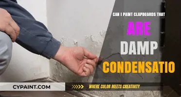 Reviving Damp Clapboards: A Painter's Guide to Condensation Challenges