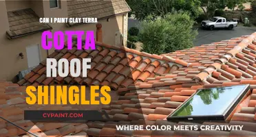 Revamping Your Roof: The Art of Painting Clay Terra Cotta Shingles