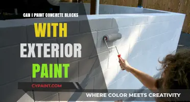 Revamping Concrete Blocks: A Guide to Exterior Painting Success