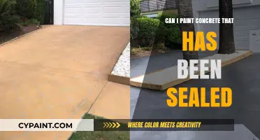 Reviving Sealed Concrete: A Painter's Guide to Preparation and Techniques