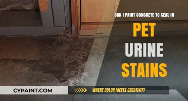 Sealing Pet Urine Stains: Can Painting Concrete Solve the Problem?