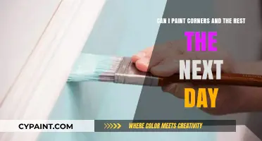Painting Tips: Tackling Corners Today, Rest Tomorrow – Is It Okay?