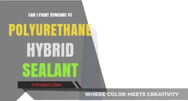 Painting Dynamic FC Polyurethane Hybrid Sealant: A Comprehensive Guide