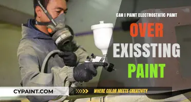 Revamping Your Ride: Electrostatic Paint Over Existing Paint