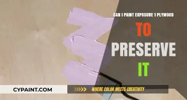 Preserving Plywood: Painting for Protection