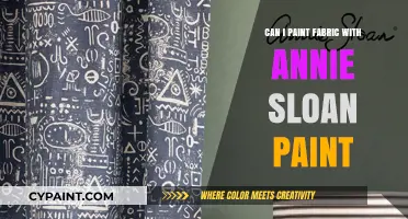 Revamping Fabric with Annie Sloan Paint: A Creative Guide
