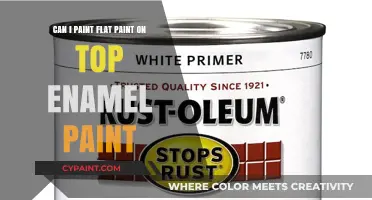 How to Paint Flat Paint Over Enamel Finishes