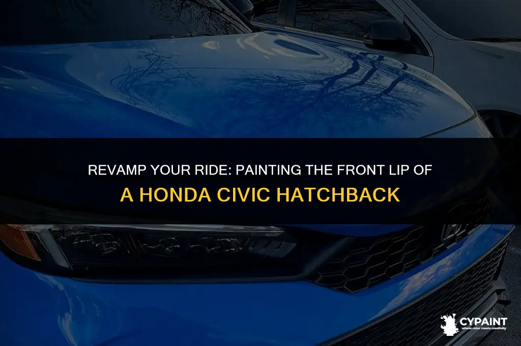can i paint front lip honda civic hactchback