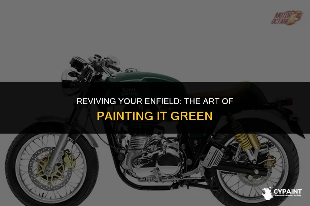 can i paint green colour in my enfield