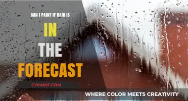 Painting in the Rain: Forecast Woes for Painters