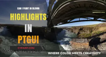 Mastering Blown Highlights in PTGui: A Painter's Guide