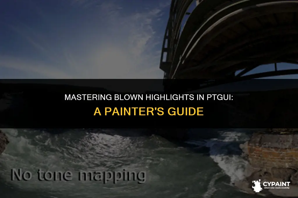 can i paint in blown highlights in ptgui