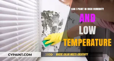 Painting in Humid and Cold Conditions: Do's and Don'ts
