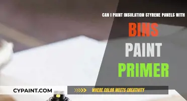 Painting Insulation Styrene Panels: Can Bin Paint Primer Work?
