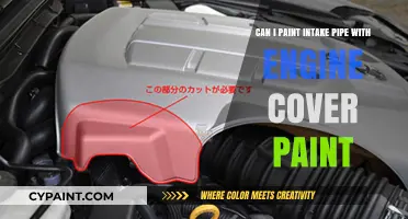 Customizing Intake Pipes: Paint Options