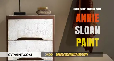 Revamping Marble Surfaces with Annie Sloan Paint: A Comprehensive Guide