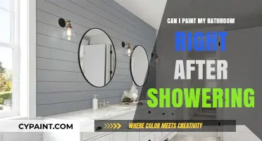 Fresh Coat, Fresh Start: Painting Your Bathroom Post-Shower