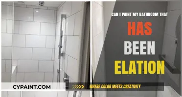 How to Paint a Bathroom with a Fresh Look