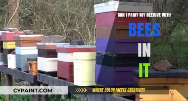 Painting a Beehive: Safe for Bees?