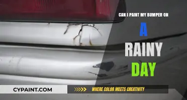 Painting Car Bumpers: Rainy Day DIY?
