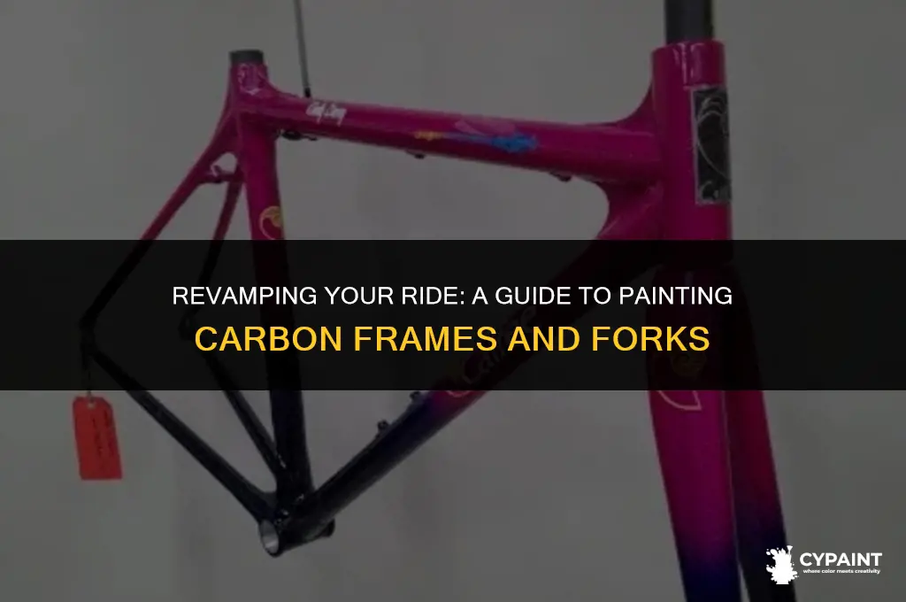 can i paint my carbon frame and fork