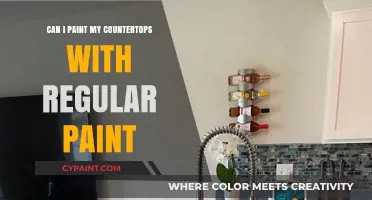 Revamping Your Kitchen: The Truth About Painting Countertops with Regular Paint