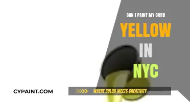 NYC Curb Painting Rules: Can You Go Yellow?