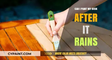 Reviving Your Deck: Tips for Painting After Rain