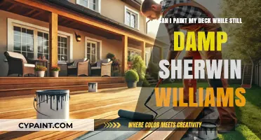 Painting Damp Decks: Sherwin-Williams Tips for Moisture Management