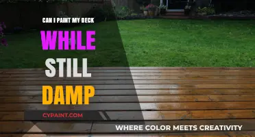 Revamping Your Deck: Tips for Painting on Damp Wood
