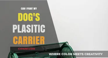 Creative Canine Carriers: Painting Your Dog's Plastic Kennel