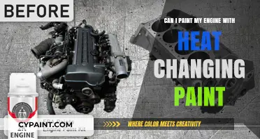 Customizing Your Engine: Heat-Changing Paint Possibilities