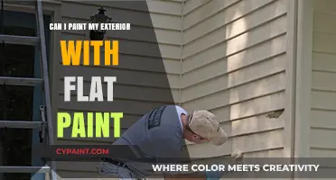 Revamping Your Home's Look: The Pros and Cons of Using Flat Paint Outdoors