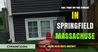 How to Paint Fire Hydrants in Springfield, Massachusetts