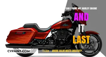 Harley Engine Paint Job: Will it Last?
