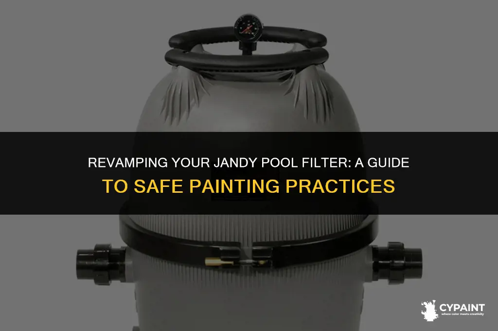 can i paint my jandy pool filter canister