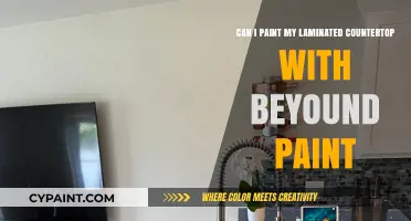 Beyond Paint: Transform Your Laminate Countertop