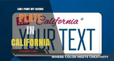 California License Plate Customization: Legal Guide to Painting Your Plate