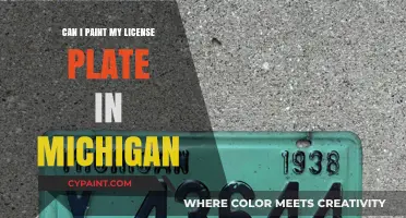 Michigan License Plate Painting: Legal or Not?