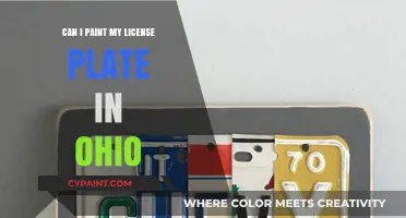 Ohio License Plate Painting: Legal or Not?