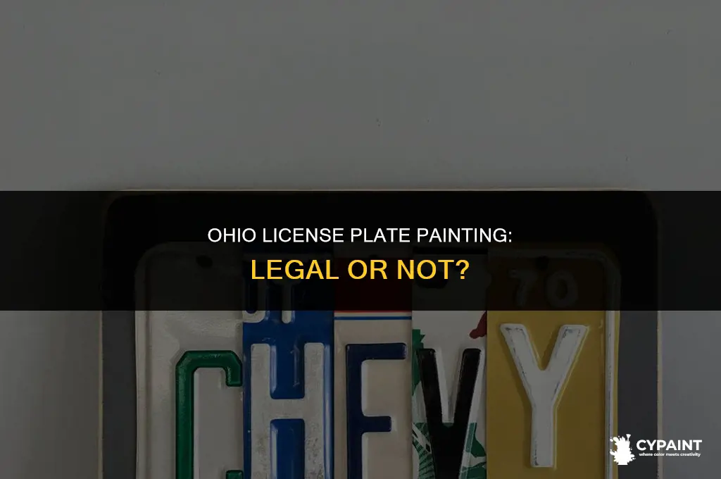 can i paint my license plate in ohio