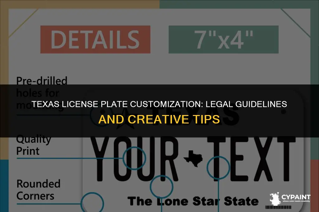can i paint my license plate in texas