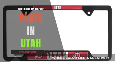 Utah License Plate Customization: Legal Guidelines and Creative Tips