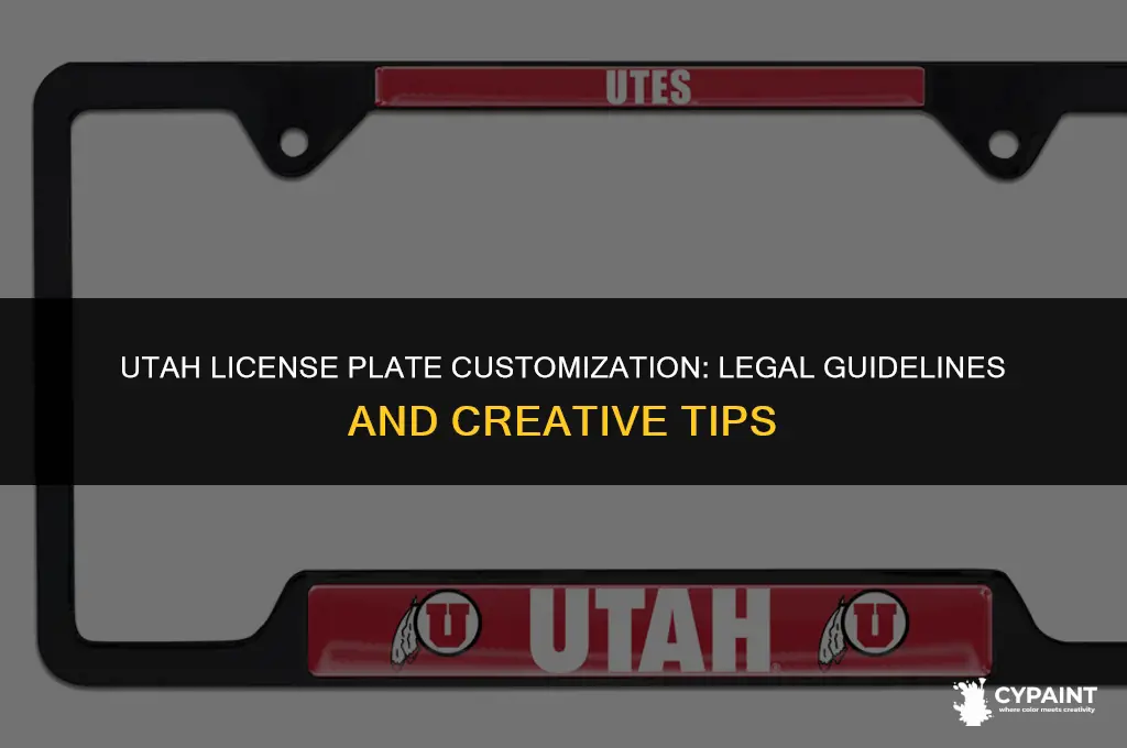 can i paint my license plate in utah