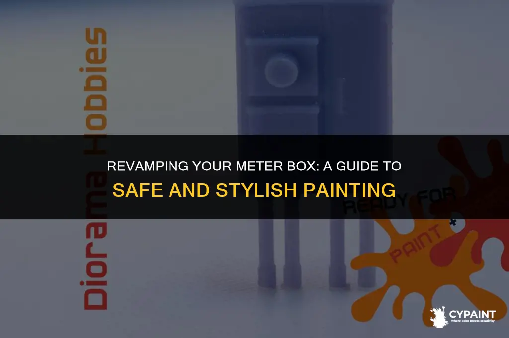 can i paint my outside electric meter box