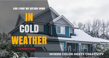 Cold Weather Home Painting: Is It Possible?