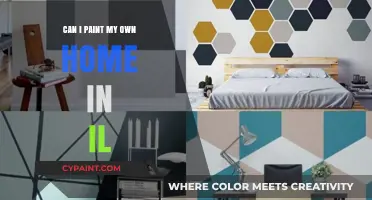 DIY Home Painting in Illinois: A Comprehensive Guide
