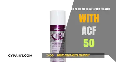 Painting Your Plane Post-ACF 50 Treatment: What You Need to Know