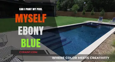 DIY Pool Painting: Transforming Your Pool to Ebony Blue